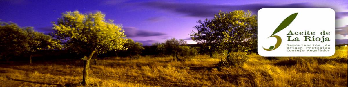 #slider-portada-block-field-txt-slider-portada-3